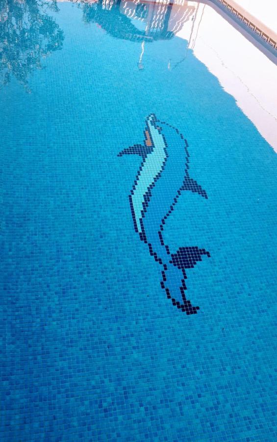 Flamingo Vila Alicante San Pedro del Pinatar Ngoại thất bức ảnh