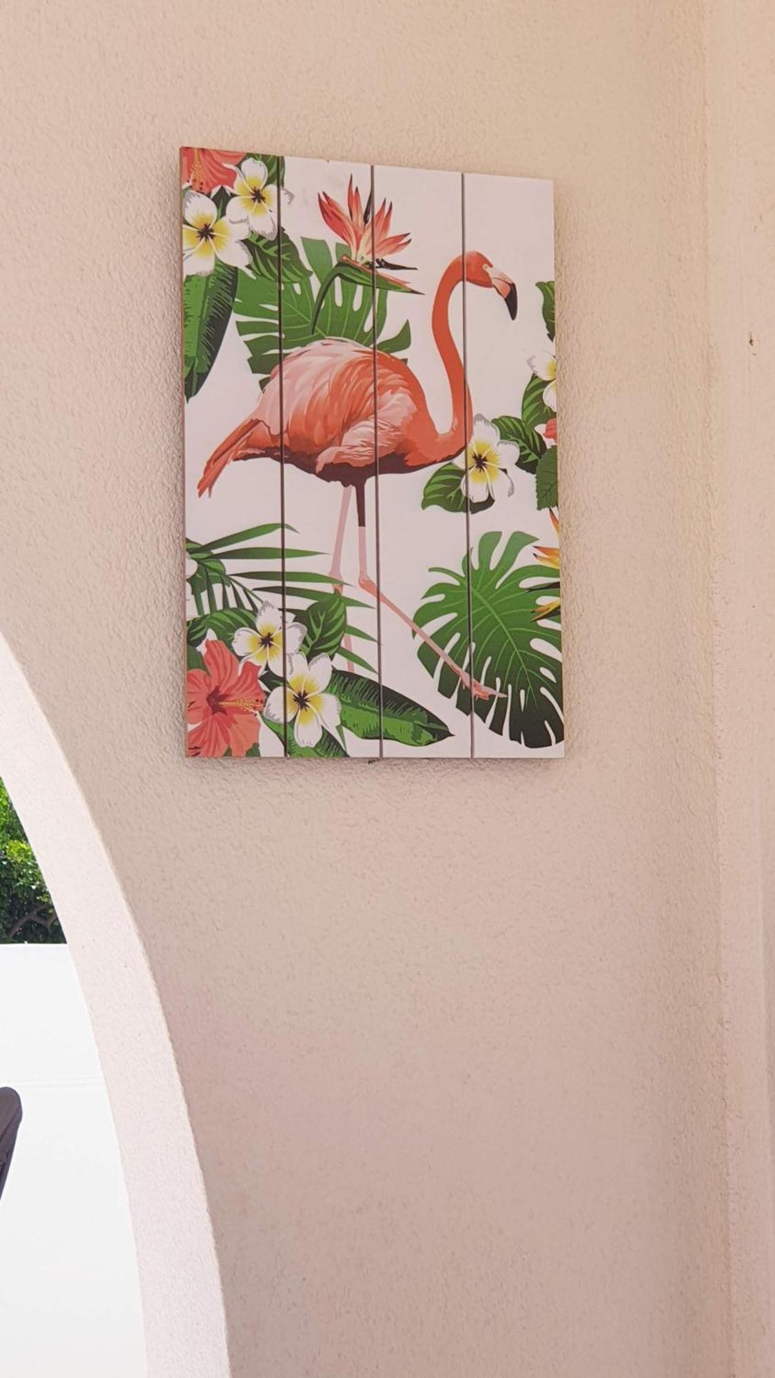Flamingo Vila Alicante San Pedro del Pinatar Ngoại thất bức ảnh