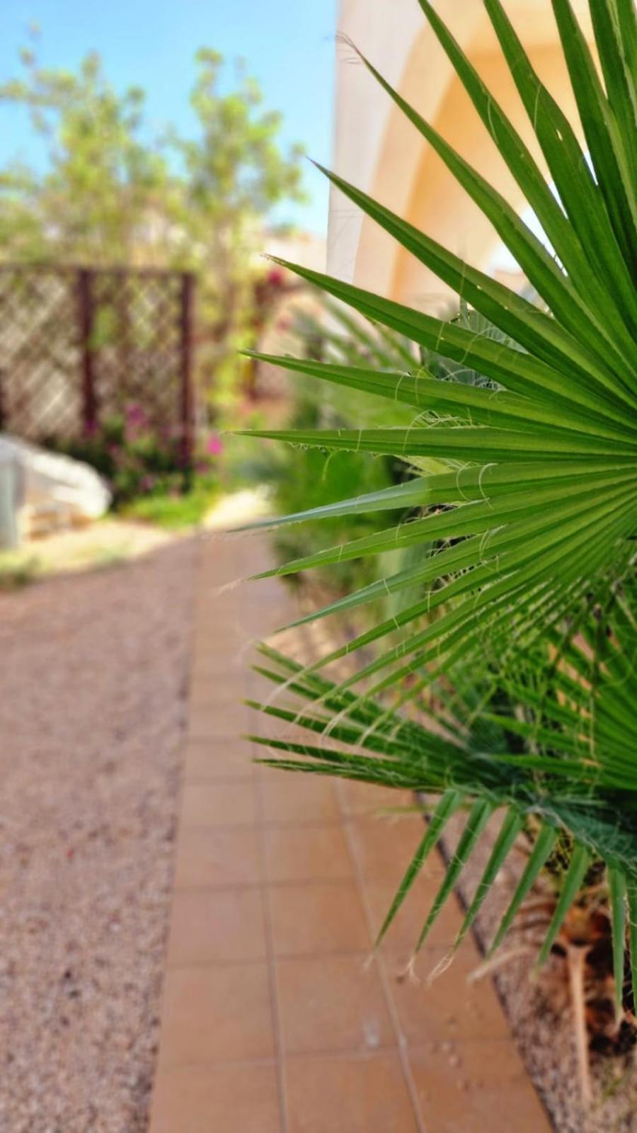 Flamingo Vila Alicante San Pedro del Pinatar Ngoại thất bức ảnh